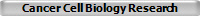 Cancer Cell Biology Research